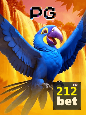 212BET bônus — cashback 15 por cento e níveis VIP